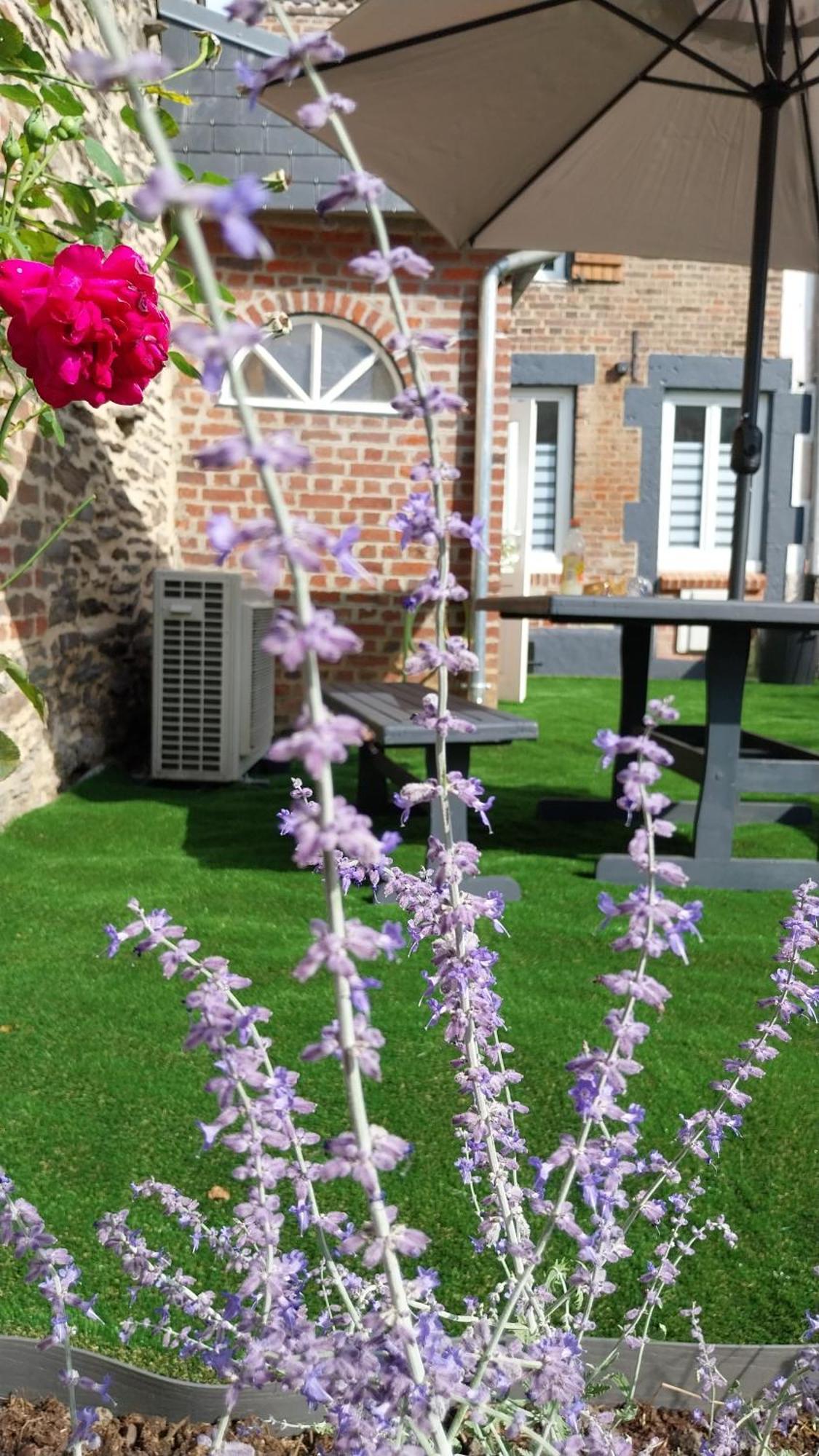 Le Scailleteux, Petite Maison De Mineur, Climatisee Vakantiehuis *